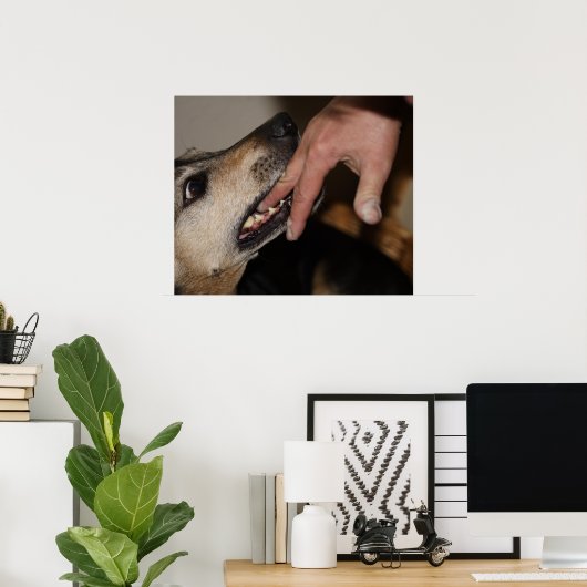 Dog biting vinger poster (Thuiskantoor)