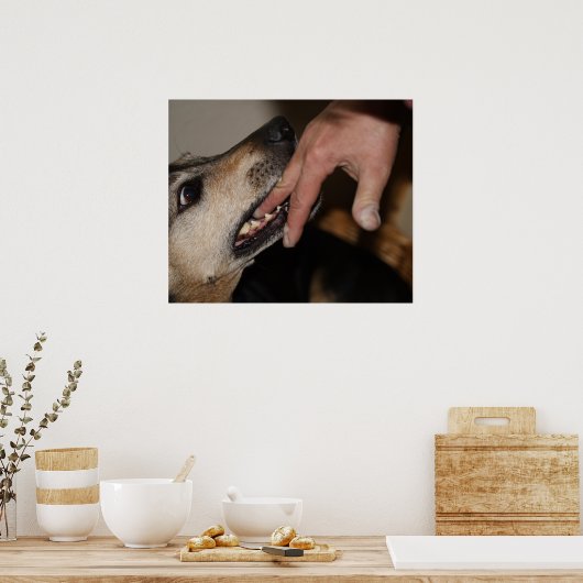Dog biting vinger poster (Keuken)