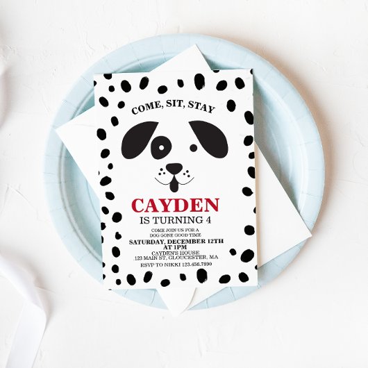 Dog black and white spot Birthday Invitation Kaart