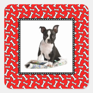 Dog Bone Kerstred Foto Lijst Pet Foto Vierkante Sticker