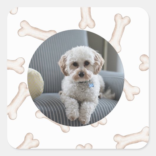 Dog Bone Photo Custom Stickers (Voorkant)