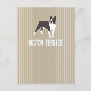 dog-Boston Terrier Briefkaart