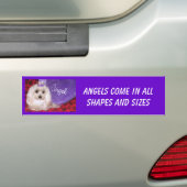 Dog bumper sticker (Op auto)