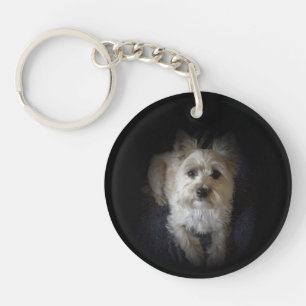 Dog Cairn Terrier Canine "Hondenliefhebber" Sleute Sleutelhanger