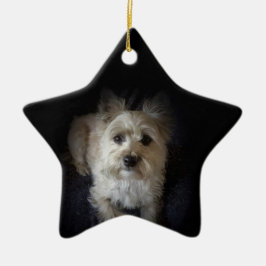 Dog Cairn Terrier Canine "Hondenliefhebber" Star O Keramisch Ornament