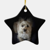 Dog Cairn Terrier Canine "Hondenliefhebber" Star O Keramisch Ornament (Achterkant)