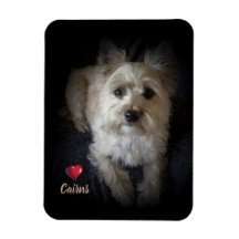 Dog Cairn Terrier "Hondenliefhebber" Flexible Magn