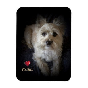 Dog Cairn Terrier "Hondenliefhebber" Flexible Magn Magneet