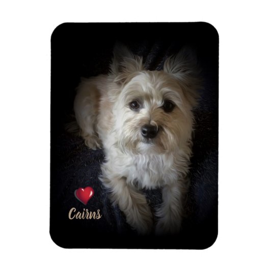 Dog Cairn Terrier "Hondenliefhebber" Flexible Magn Magneet (Verticaal)