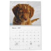 Dog calander kalender (Feb 2027)