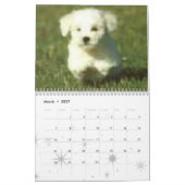 Dog calander kalender (Mar 2027)