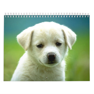 Dog calander kalender