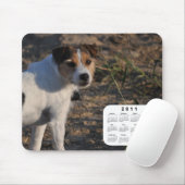 Dog Calendar 2011 - Parson Jack Russell Terrier Muismat (Met muis)