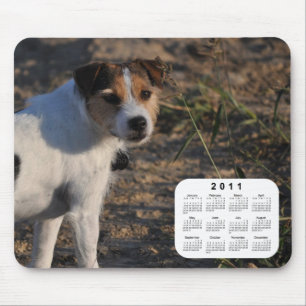 Dog Calendar 2011 - Parson Jack Russell Terrier Muismat