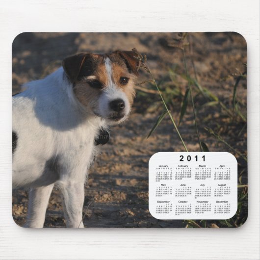 Dog Calendar 2011 - Parson Jack Russell Terrier Muismat (Voorkant)