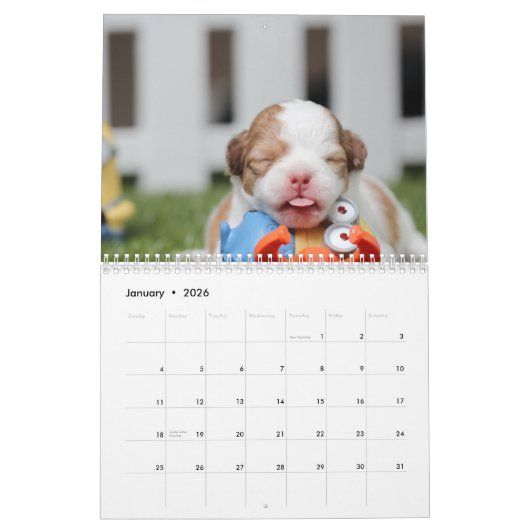 Dog Calendar 2016 Custom Add Your Photo Kalender (Jan 2026)
