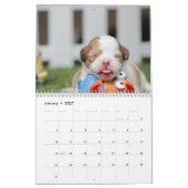 Dog Calendar 2016 Custom Add Your Photo Kalender (Jan 2027)