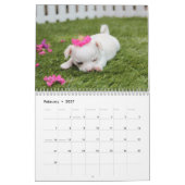 Dog Calendar 2016 Custom Add Your Photo Kalender (Feb 2027)