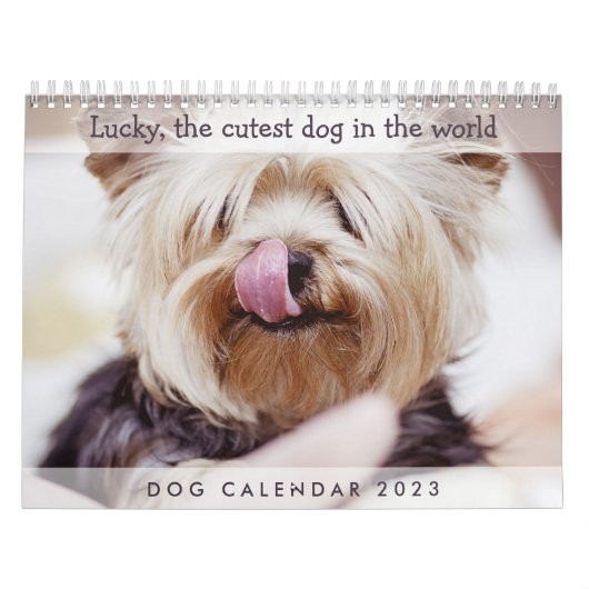 Dog Calendar 2023 voegt uw correcte foto's toe Kalender (Hoes)