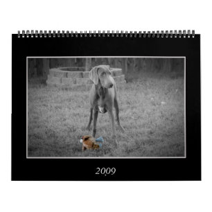 Dog Calendar Kalender