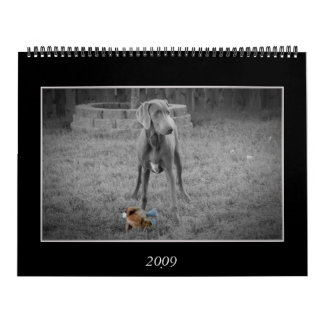 Dog Calendar Kalender
