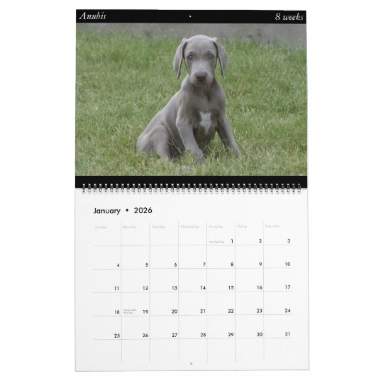 Dog Calendar Kalender (Jan 2026)
