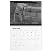 Dog Calendar Kalender (Mar 2026)