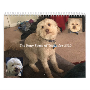Dog Calendar Kalender