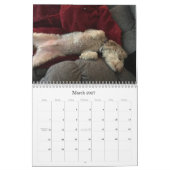 Dog Calendar Kalender (Mar 2027)
