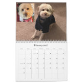 Dog Calendar Kalender (Feb 2027)