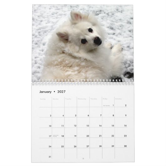 Dog Calendar Kalender (Jan 2027)