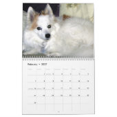 Dog Calendar Kalender (Feb 2027)