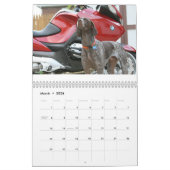 Dog Calender 2008 Kalender (Mar 2026)