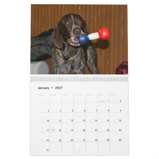 Dog Calender 2008 Kalender (Jan 2027)
