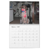 Dog Calender 2008 Kalender (Feb 2027)