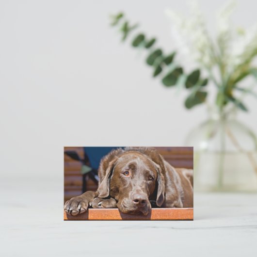 Dog Care Business Chocolate Labrador Retriever Visitekaartje (Staand voorkant)
