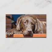 Dog Care Business Chocolate Labrador Retriever Visitekaartje (Voorkant)