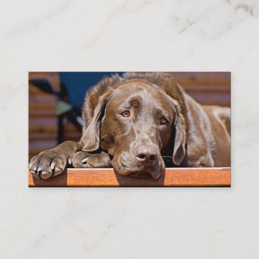 Dog Care Business Chocolate Labrador Retriever Visitekaartje (Voorkant)