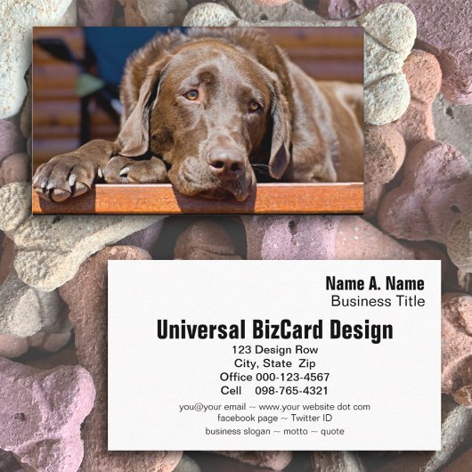 Dog Care Business Chocolate Labrador Retriever Visitekaartje