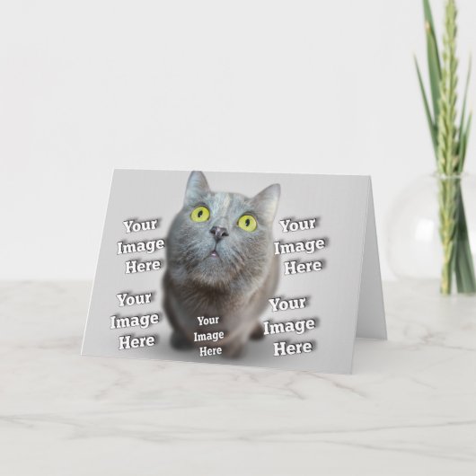 Dog Cat Bird Fab Amazonefoto Kaart (Voorkant)