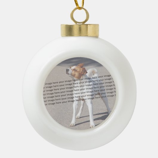 Dog Cat Bird Fab Amazonefoto Keramische Bal Ornament (Voorkant)