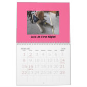 Dog & Cat Calendar Kalender (Feb 2026)