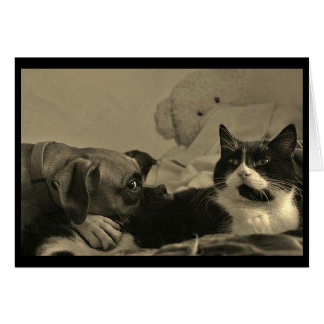 Dog & Cat Cuddle Card (Voorkant Horizontaal)