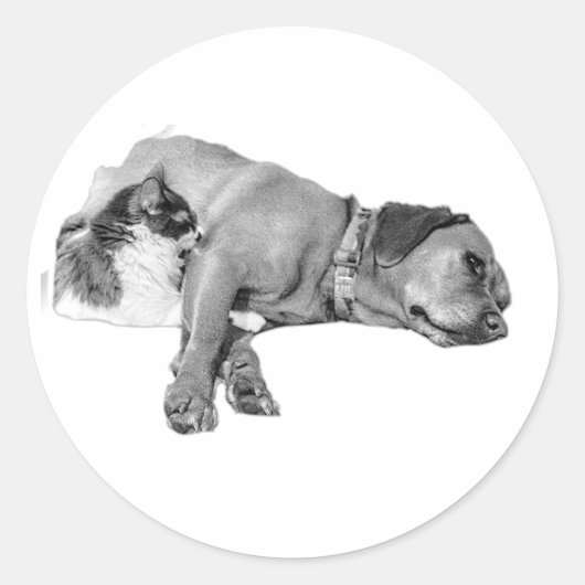 Dog & Cat Cuddling Monochrome Sticker (Voorkant)