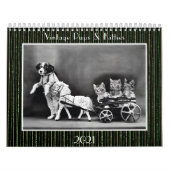  Dog Cat Foto Glitter Cute 12 maanden Kalender (Hoes)
