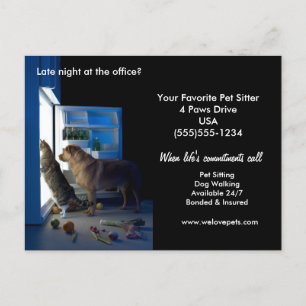 Dog & Cat Home Alone Midnight Pet Sitter Briefkaar Briefkaart