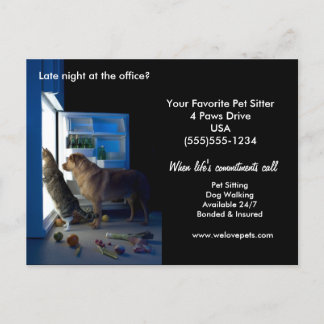 Dog & Cat Home Alone Midnight Pet Sitter Briefkaar Briefkaart