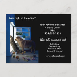 Dog & Cat Home Alone Midnight Pet Sitter Briefkaar Briefkaart