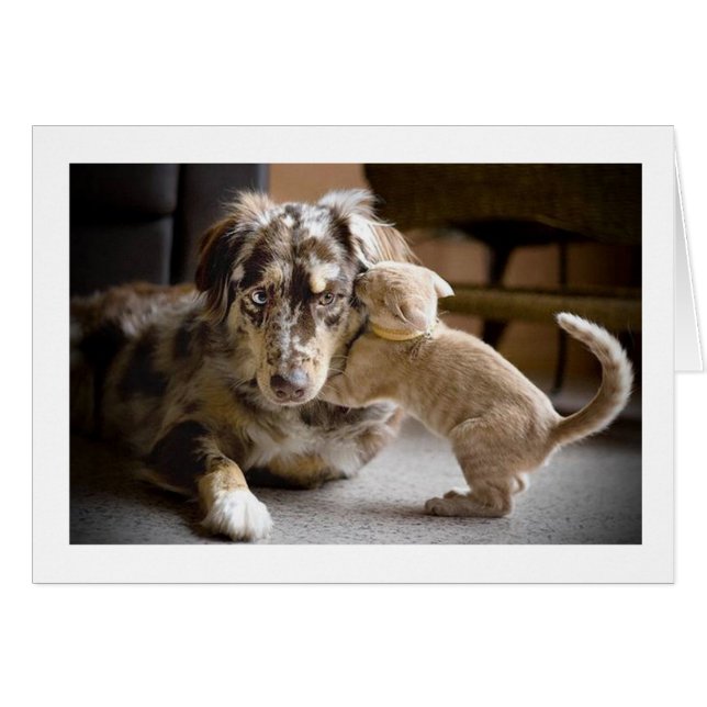 Dog & Cat Love #1 (Voorkant Horizontaal)