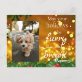 Dog Cat Pet Custom Photo Christmas Postcard Funny Feestdagenkaart (Voorkant)